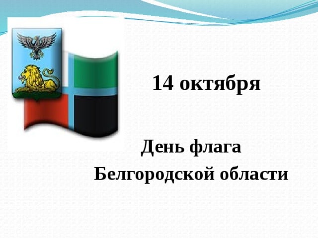 Под флагом Белгородчины.